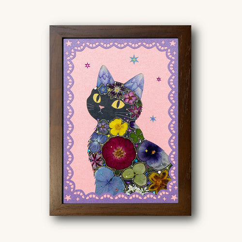 Amber Glance - Black Cat - | Petal & Still