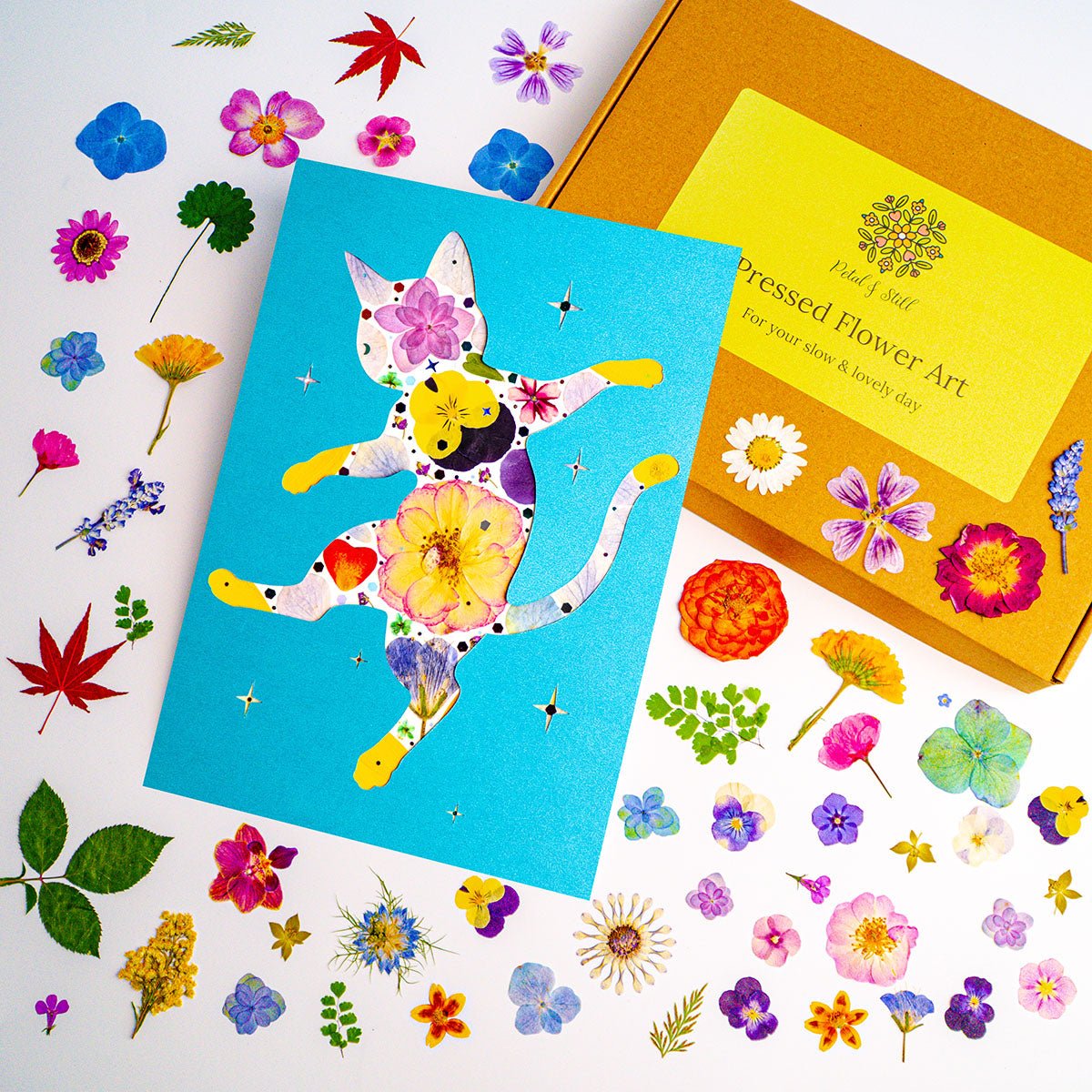 DIY Art Kit: Dancing Cat - | Petal & Still