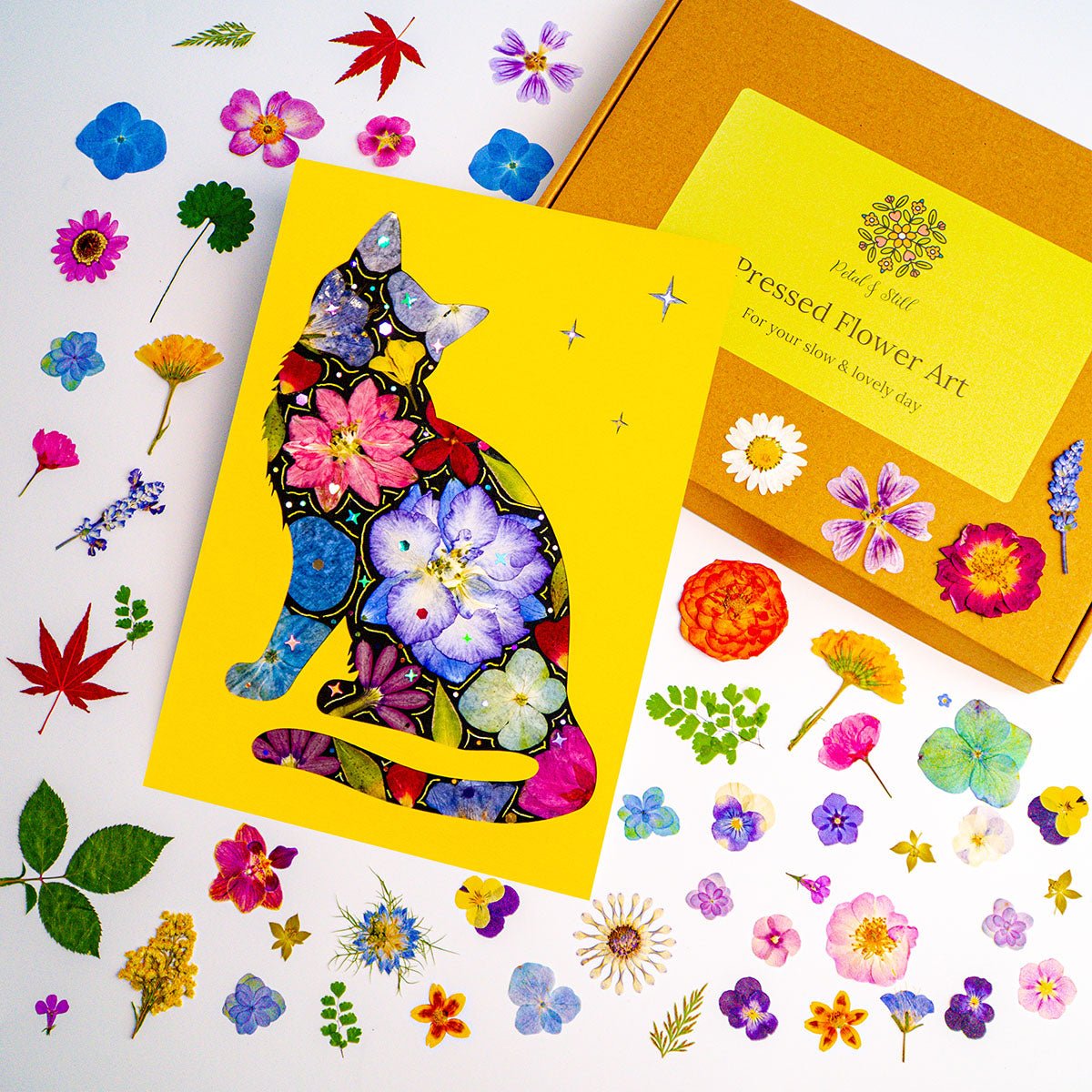 DIY Art Kit: Dreamy Cat - | Petal & Still