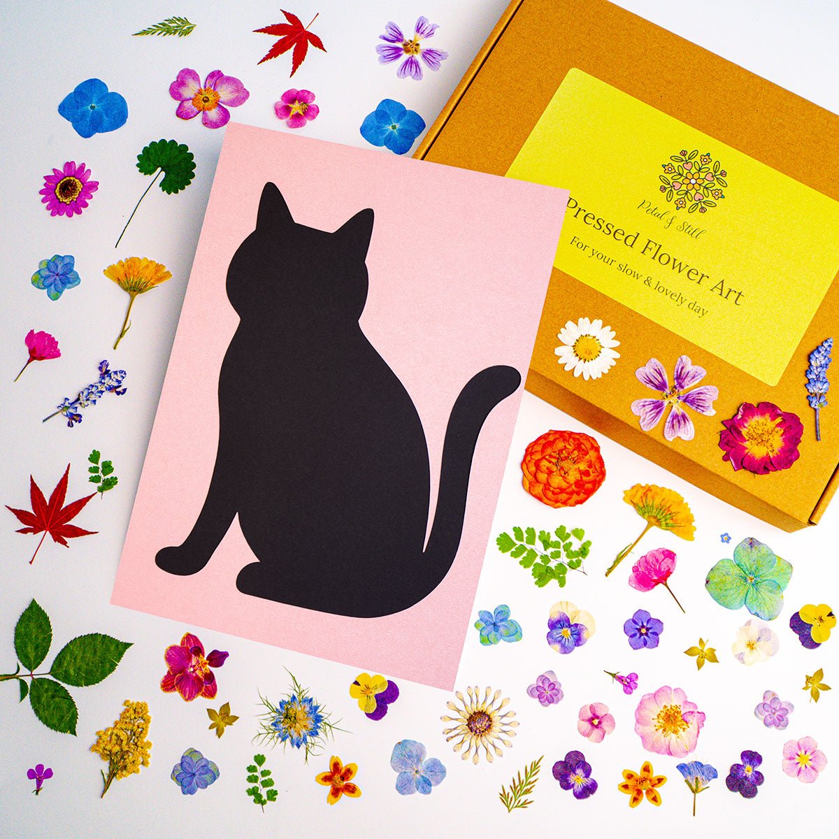 DIY Art Kit: Elegant Cat - | Petal & Still