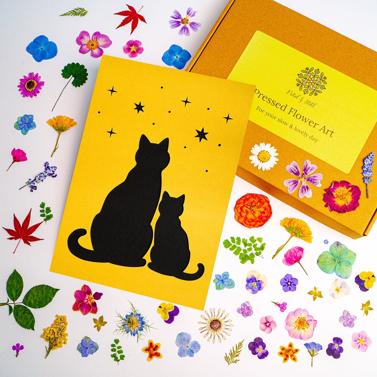 DIY Art Kit: Kindred Cat - | Petal & Still