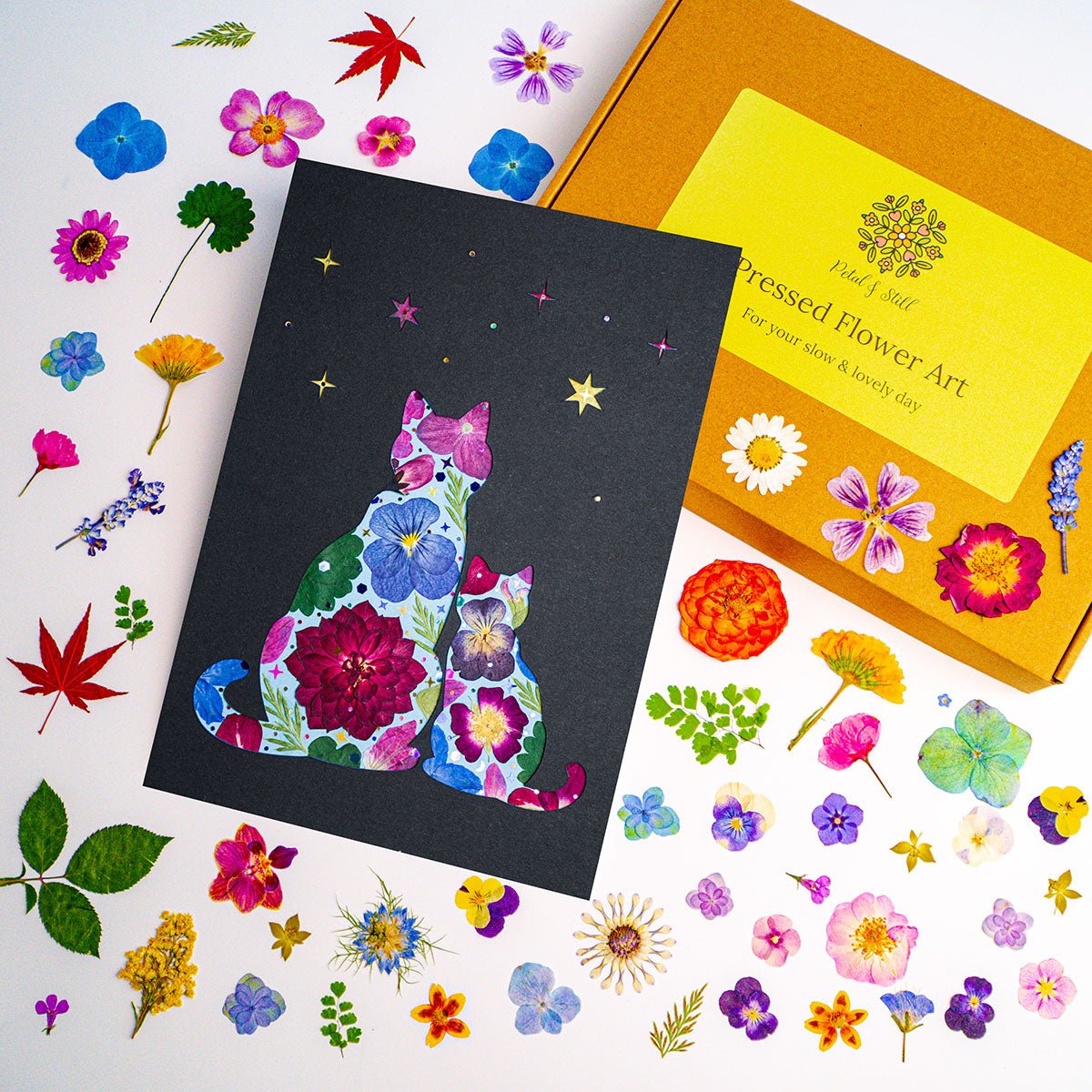 DIY Art Kit: Kindred Cat - | Petal & Still