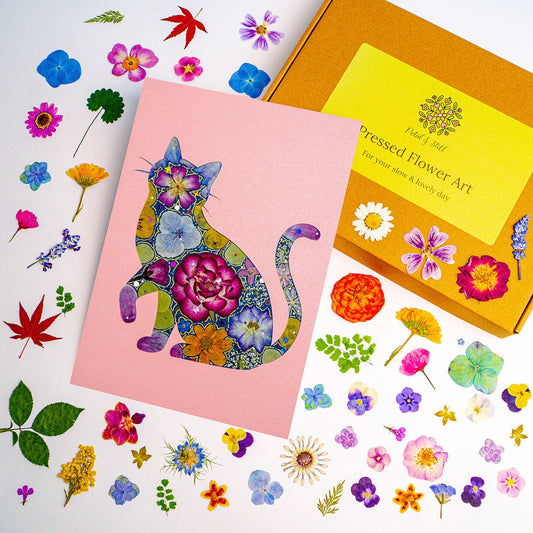 DIY Art Kit: Lively Cat - | Petal & Still