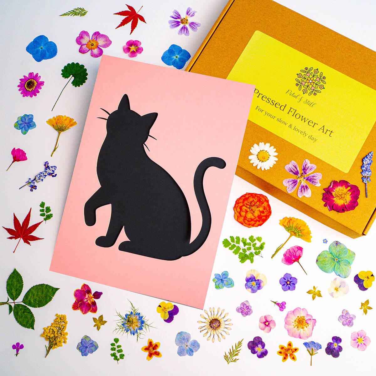 DIY Art Kit: Lively Cat - | Petal & Still