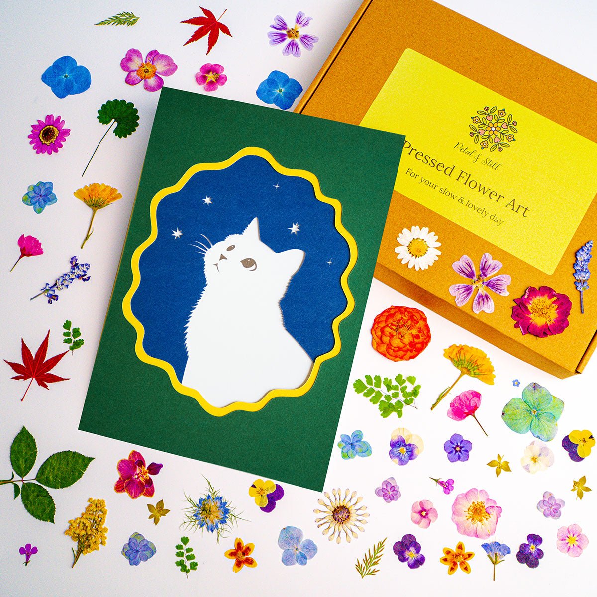 DIY Art Kit: Looking Up Cat - | Petal & Still