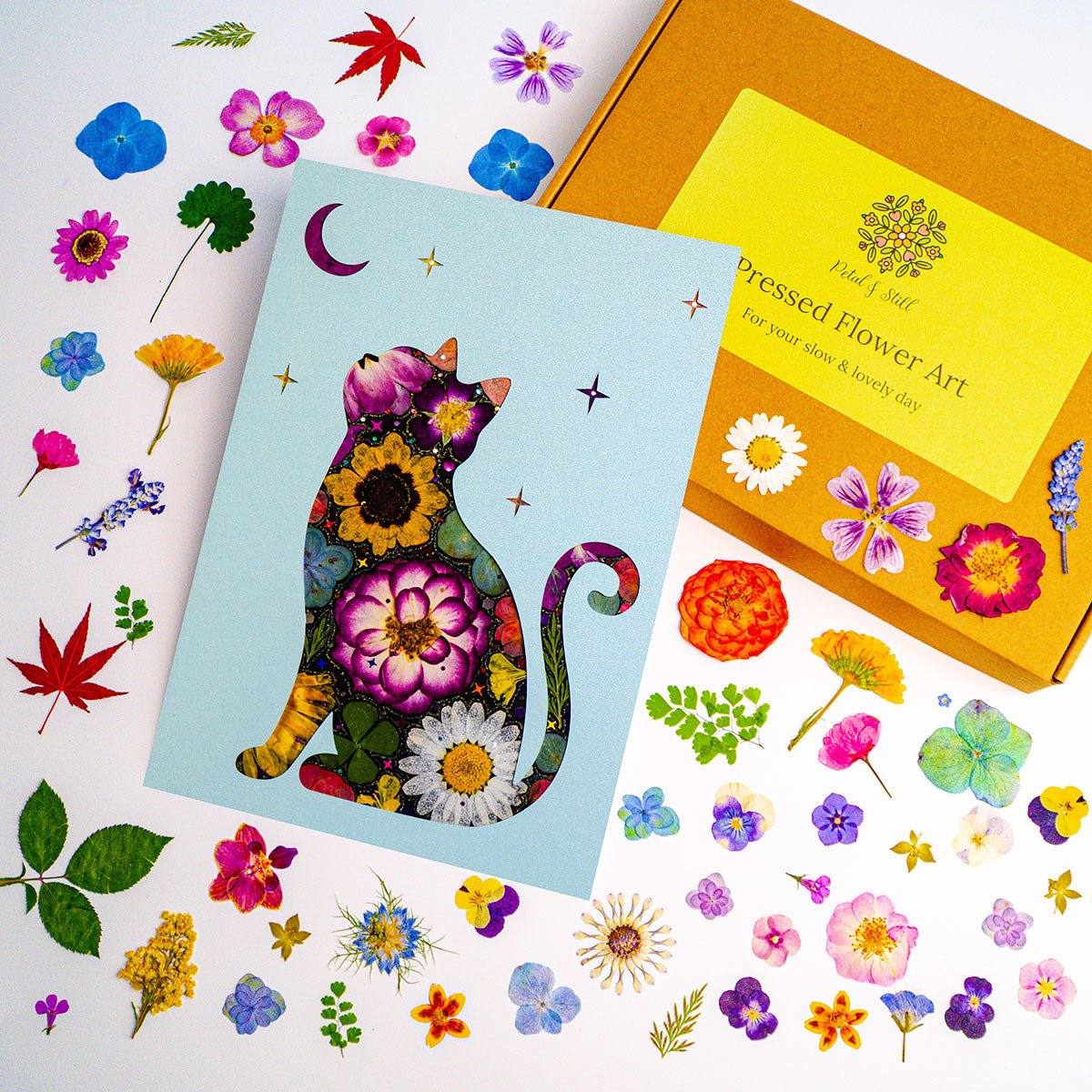 DIY Art Kit: Moonlit Cat - | Petal & Still