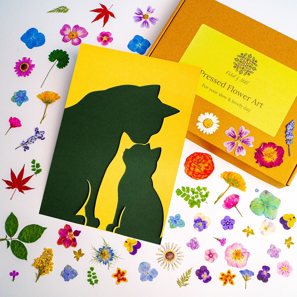 DIY Art Kit: Nuzzle Cat - | Petal & Still
