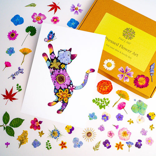 DIY Art Kit: Playful Cat - | Petal & Still