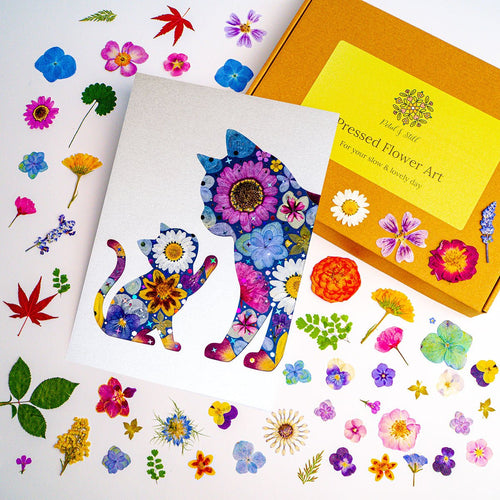 DIY Art Kit: Tender Cat - | Petal & Still