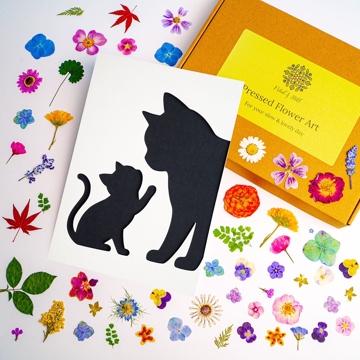 DIY Art Kit: Tender Cat - | Petal & Still