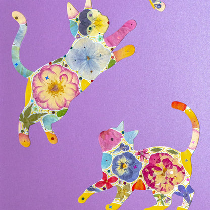 Duo Cat - | Petal & Still