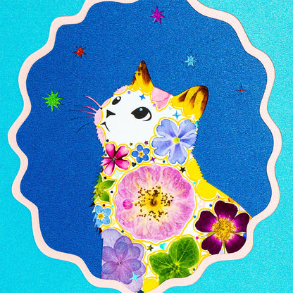 Evening Air - Looking Up Cat - | Petal & Still