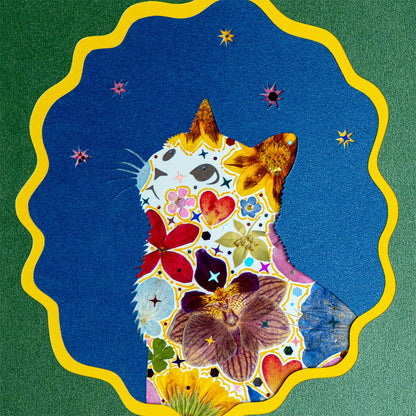 Forest Dream - Looking Up Cat - | Petal & Still