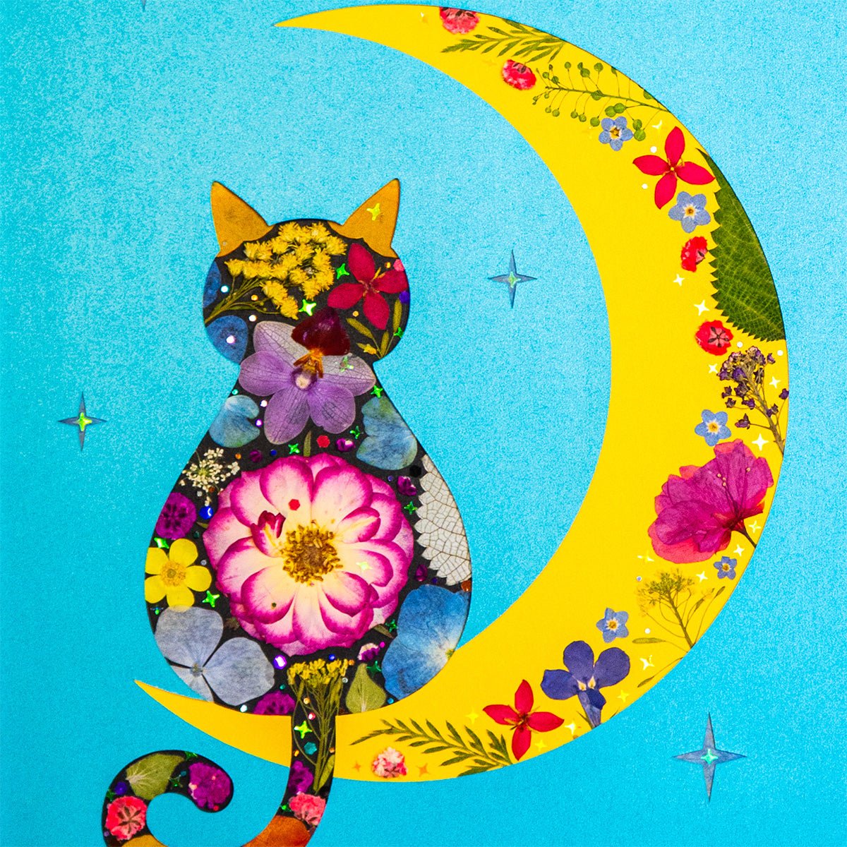 Midnight Lullaby - Moon Cat - | Petal & Still