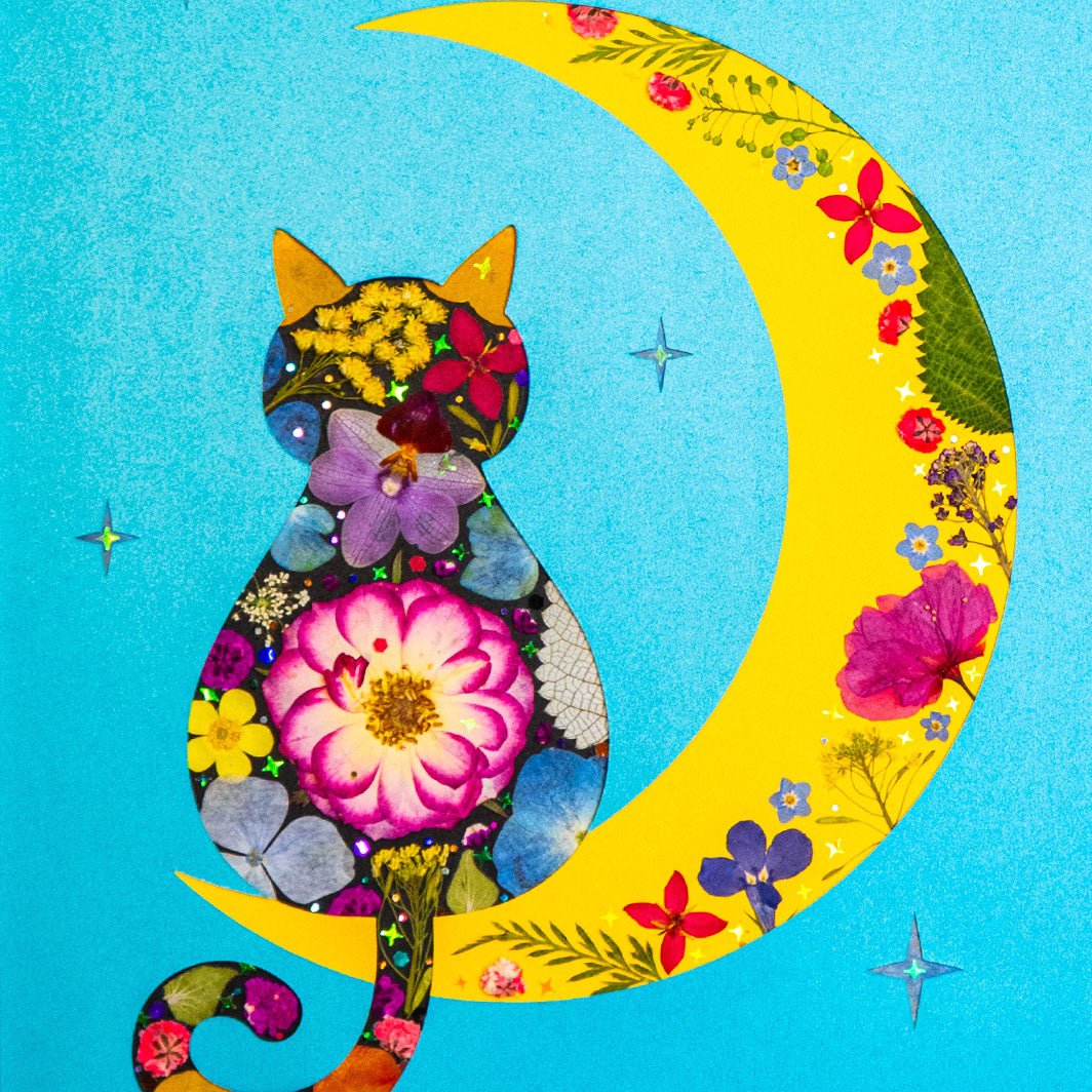 Moon Cat - | Petal & Still