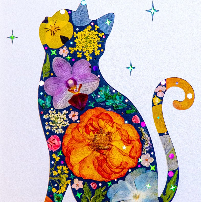 Moonlit Cat - | Petal & Still