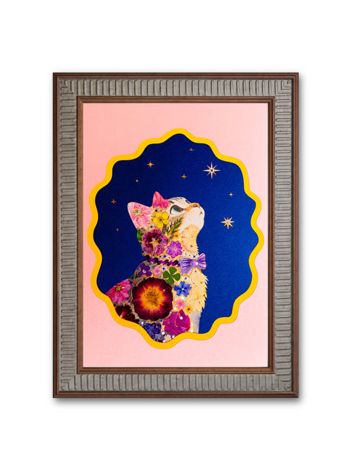 Gentle Gaze Cat: Rosy Starlight 8.3″×11.7″