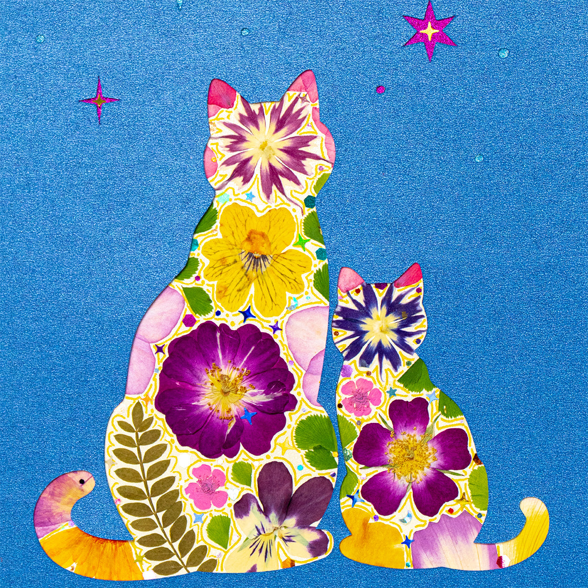Same Sky - Kindred Cat