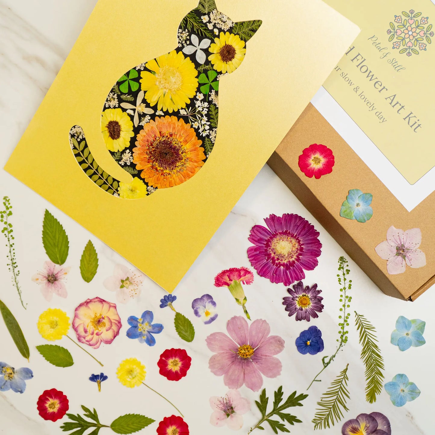 DIY Art Kit: Cozy Cat