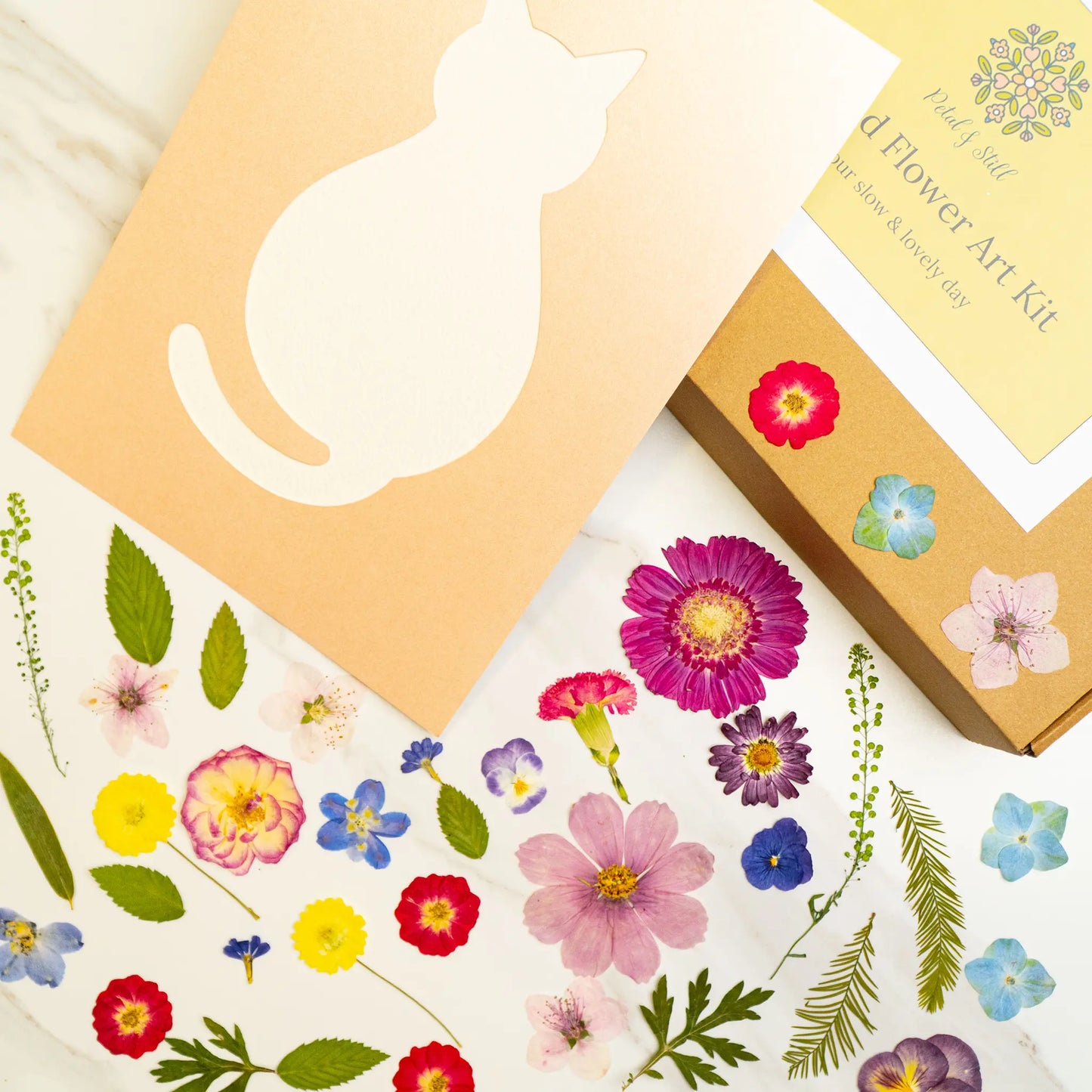 DIY Art Kit: Cozy Cat