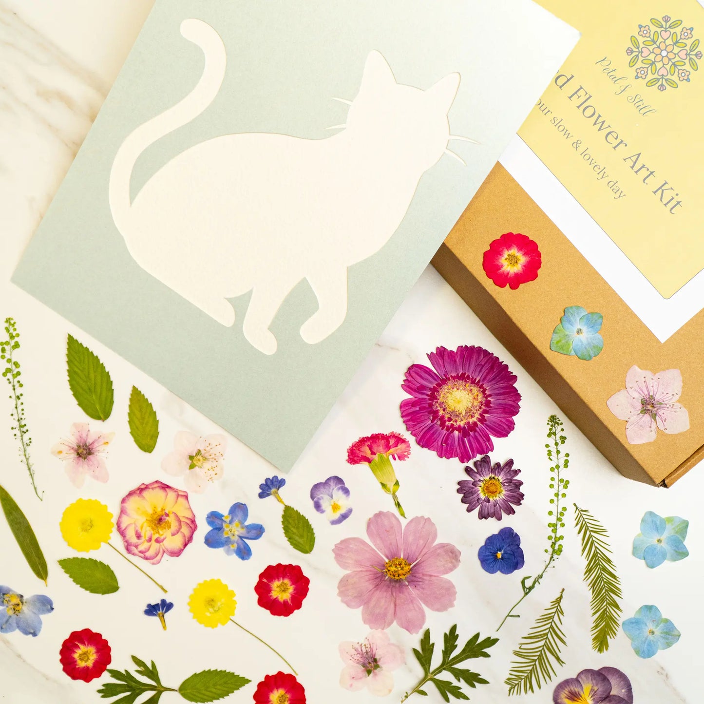 DIY Art Kit: Lively Cat