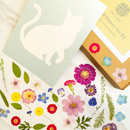 DIY Art Kit: Lively Cat