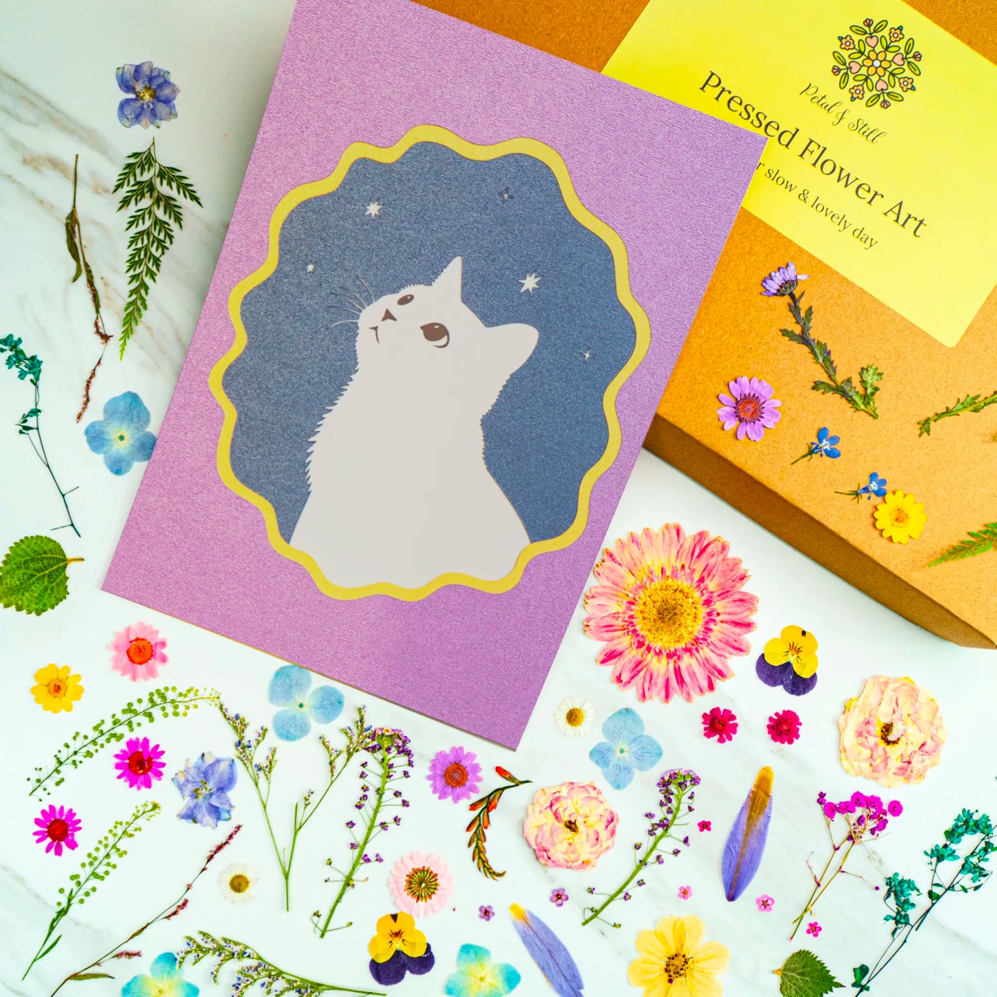 DIY Art Kit: Looking Up Cat