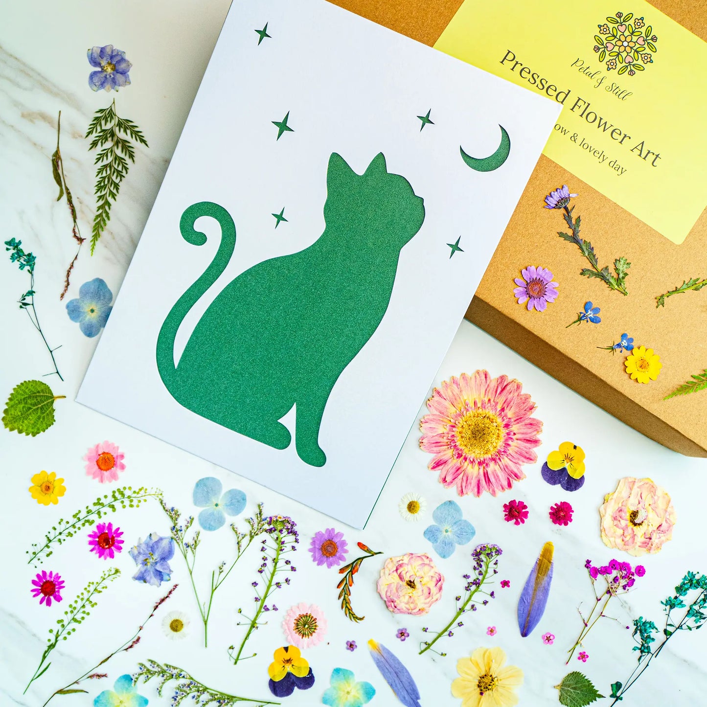 DIY Art Kit: Moonlit Cat