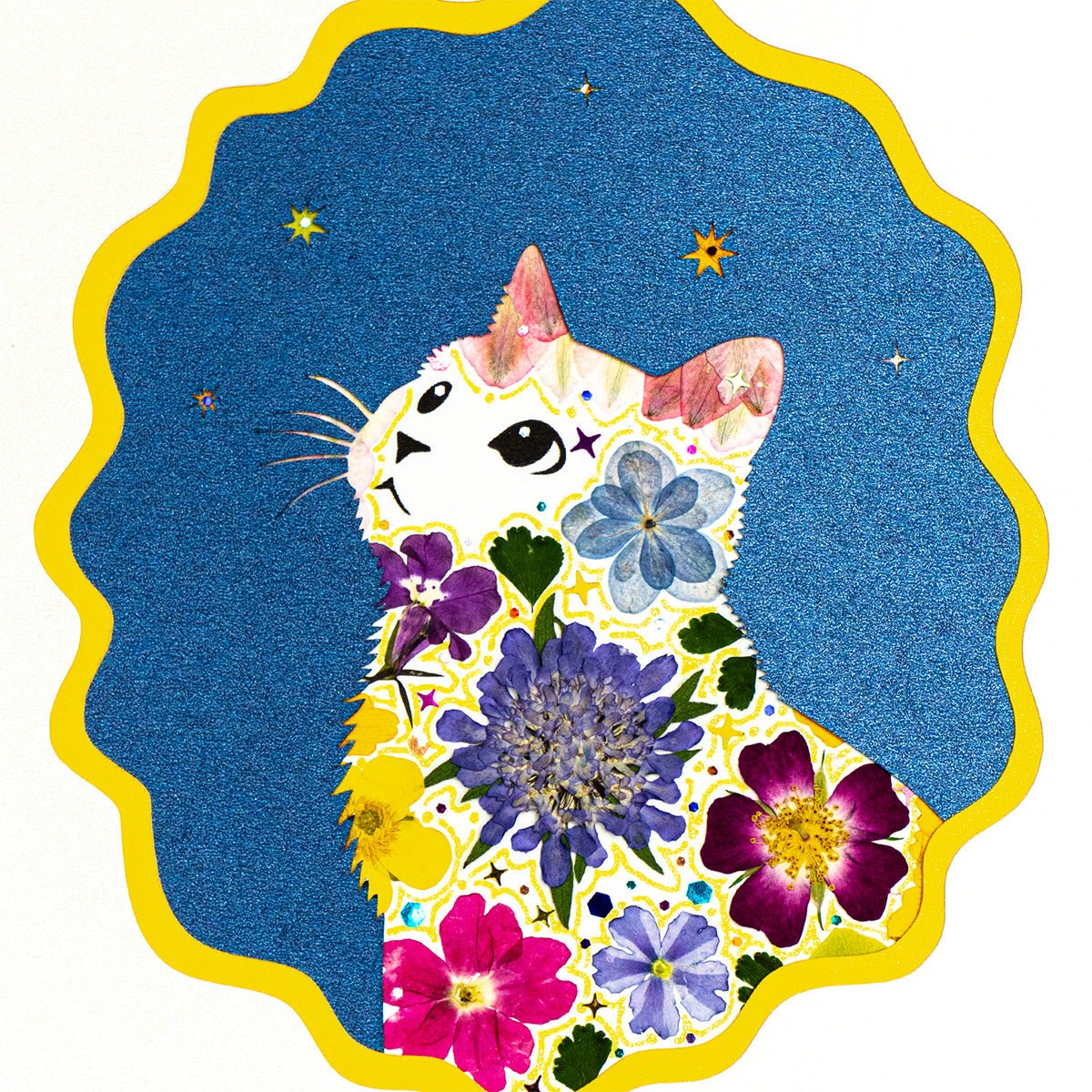 Pure Aspiration - Looking Up Cat - | Petal & Still