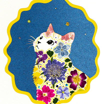 Pure Aspiration - Looking Up Cat - | Petal & Still