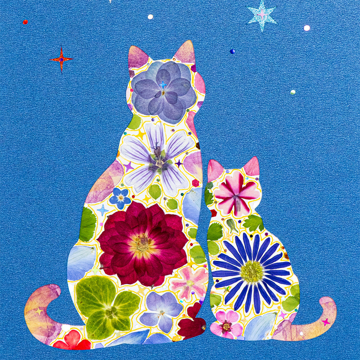Same Sky - Kindred Cat - | Petal & Still