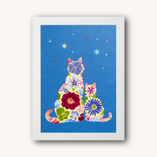 Same Sky - Kindred Cat - | Petal & Still