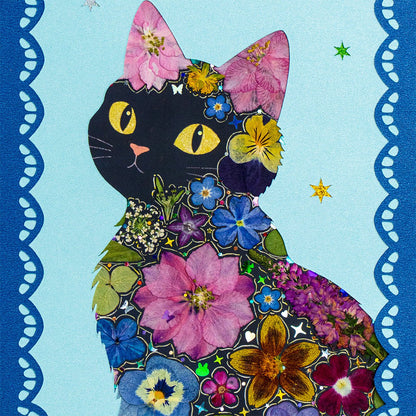 Starry Eyed - Black Cat - | Petal & Still
