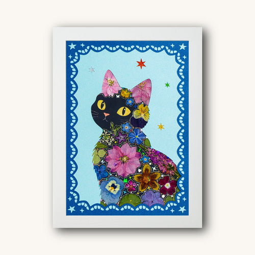 Starry Eyed - Black Cat - | Petal & Still