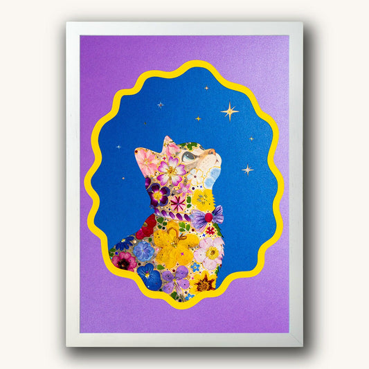 Velvet Nebula - Dreamer Cat - | Petal & Still