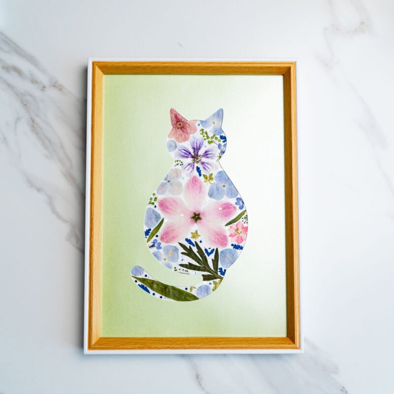 Cozy Cat – Morning Breeze