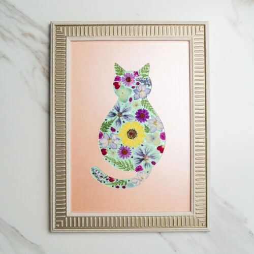 Cozy Cat: Soft Bloom