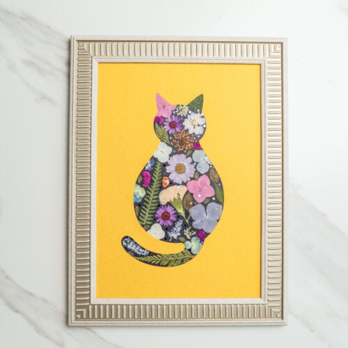 Cozy Cat – Summer Glow