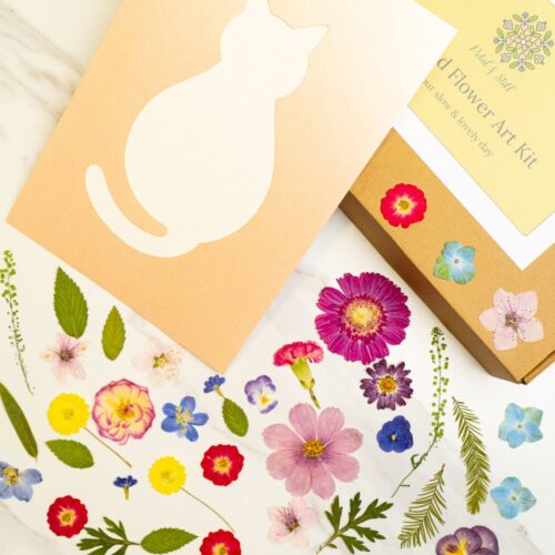 Vibrant flower and botanical stickers, DIY flower art kit packaging, and a cat silhouette card from Petal & Still for creating floral projects and gifts.