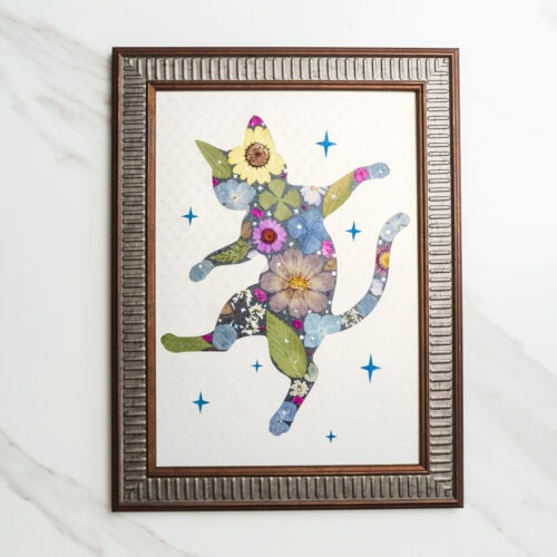 Dancing Cat – Falling Star