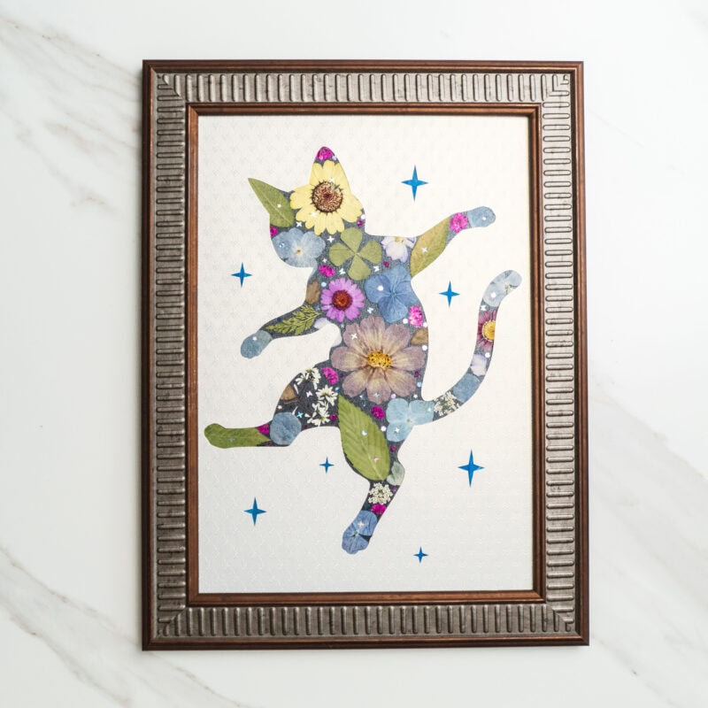 Dancing Cat – Falling Star