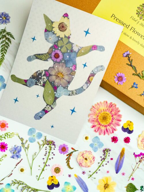 pressed_flower_art_kit_cat_dancing_finished Colorful pressed flower art featuring a whimsical cat silhouette filled with vibrant flower arrangements, perfect for floral wall decor and botanical art projects.
