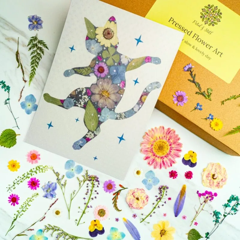 pressed_flower_art_kit_cat_dancing_finished Colorful pressed flower art featuring a whimsical cat silhouette filled with vibrant flower arrangements, perfect for floral wall decor and botanical art projects.