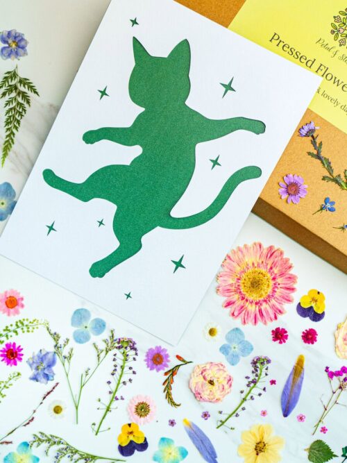 Pressed flower art with vibrant, colorful floral designs and botanical illustrations for home decor or gifting. Perfect for botanical enthusiasts and floral art lovers seeking unique pressed flower crafts.