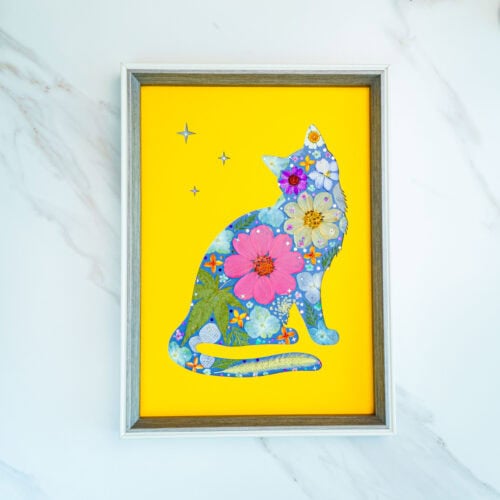 Dreamy Cat – Star Wish