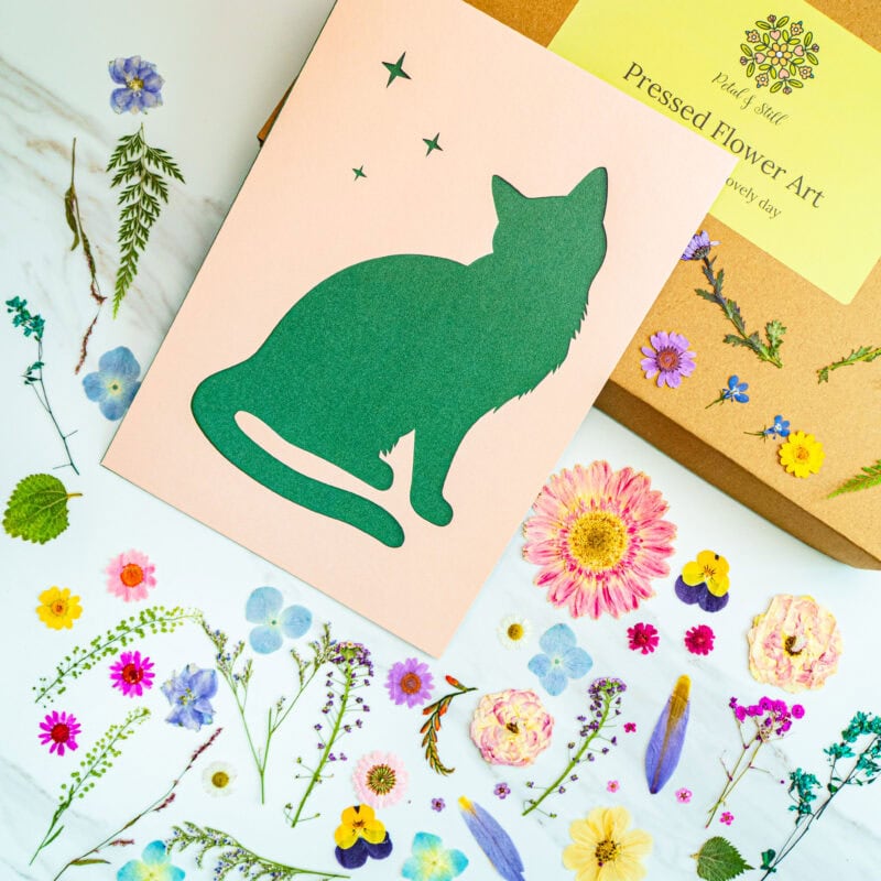 Green silhouette of a sitting cat with stars above, pressed flower art, petal & still, botanical design, floral decor, nature-inspired art, sustainable craft, greeting card, eco-friendly gift idea.