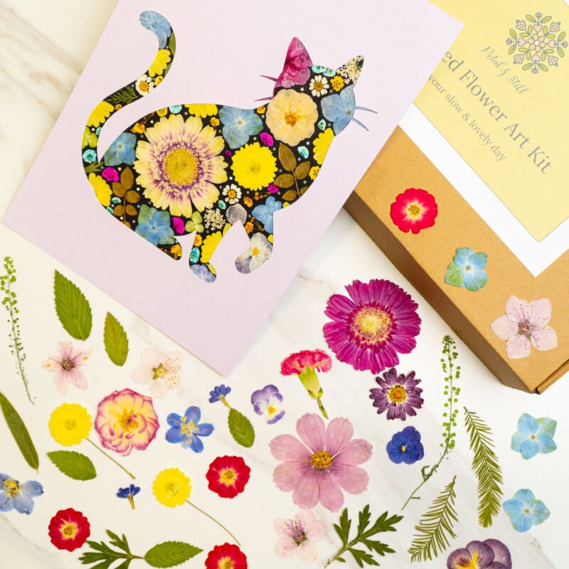 Colorful floral cat collage art with bright flowers on a black background, perfect for botanical wall decor or floral craft projects.