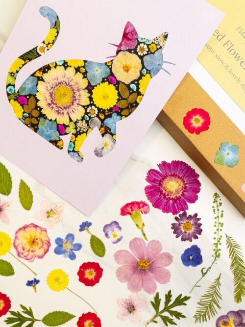 pressed_flower_art_kit_cat_lively_finished Colorful floral cat collage art with bright flowers on a black background, perfect for botanical wall decor or floral craft projects.