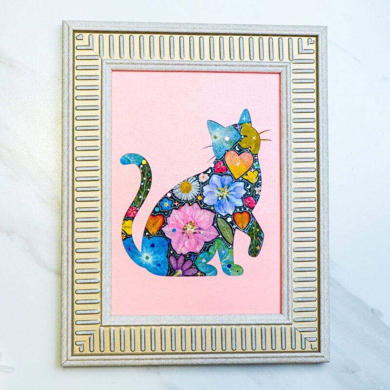 Lively Cat: Rosy Bloom