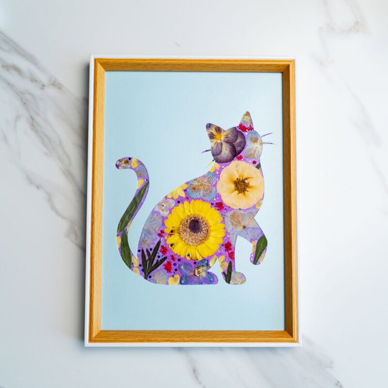 Lively Cat – Soft Light